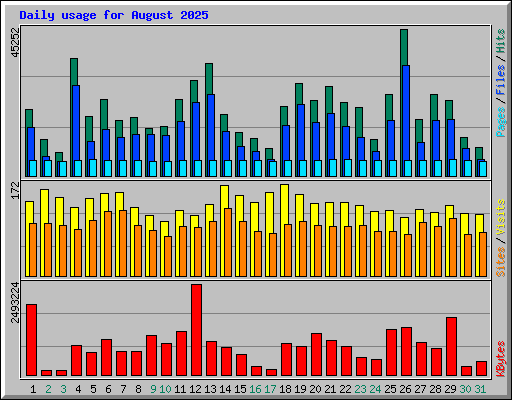 Daily usage for August 2025