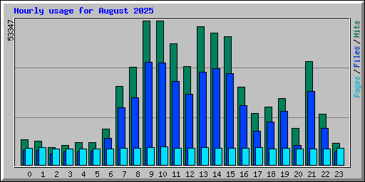 Hourly usage for August 2025