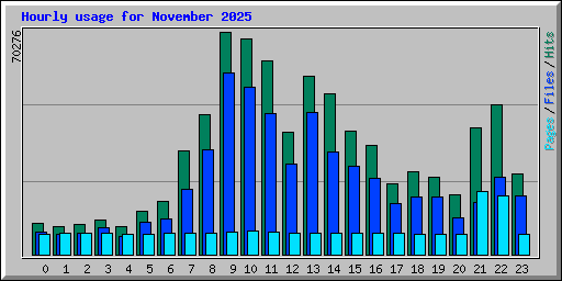 Hourly usage for November 2025