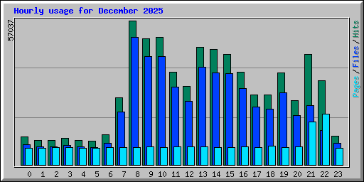 Hourly usage for December 2025