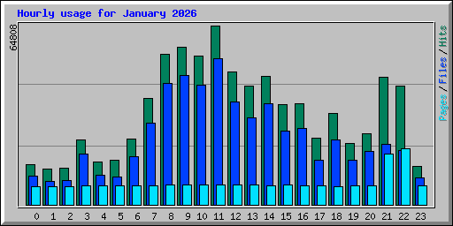 Hourly usage for January 2026