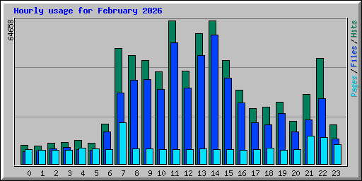 Hourly usage for February 2026